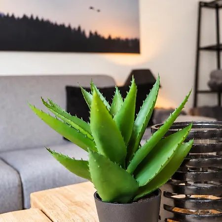 Smart Topas 301 Appartement